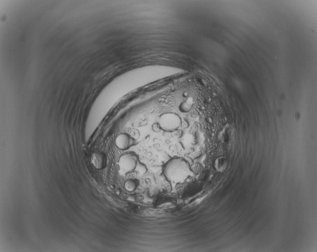 X0000083020189200702231847