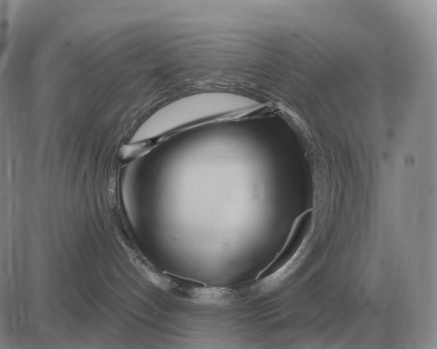 X0000083020192200702231847