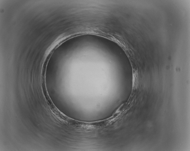 X0000083020195200702231846