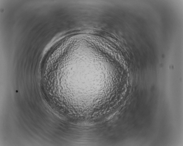 X0000083020198200702231846