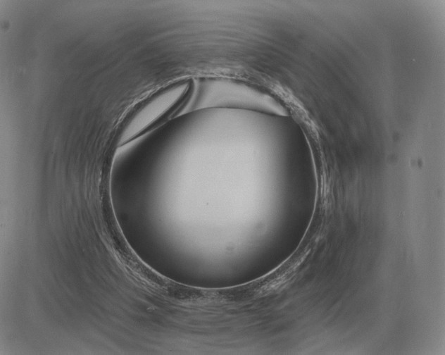 X0000083020201200702231846