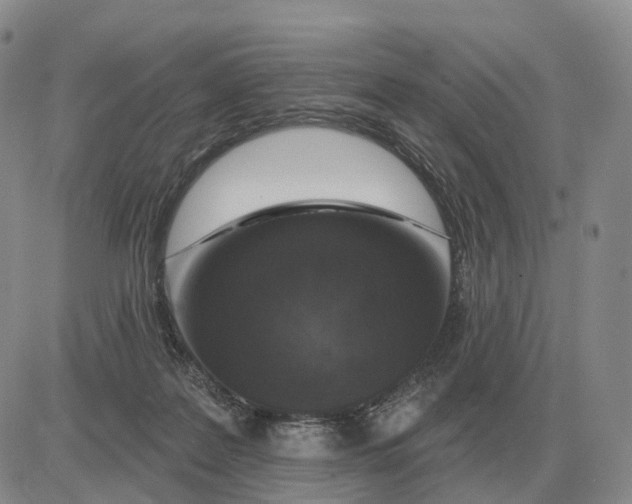 X0000083020219200702231846