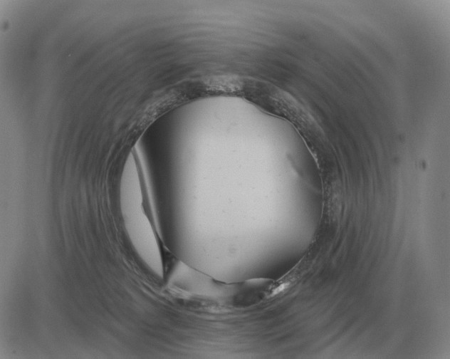 X0000083020229200702231846