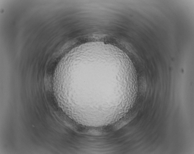 X0000083020236200702231846