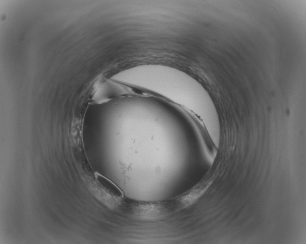 X0000083020237200702231846
