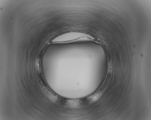 X0000083020238200702231846