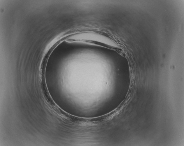 X0000083020246200702231845