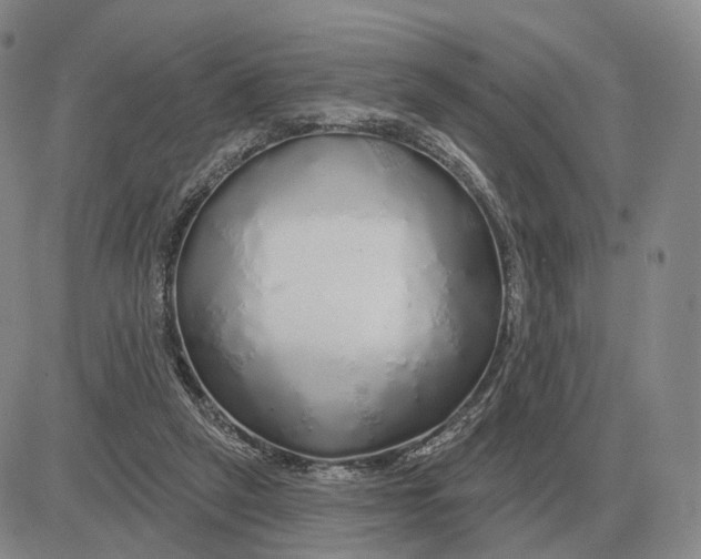 X0000083020257200702231845