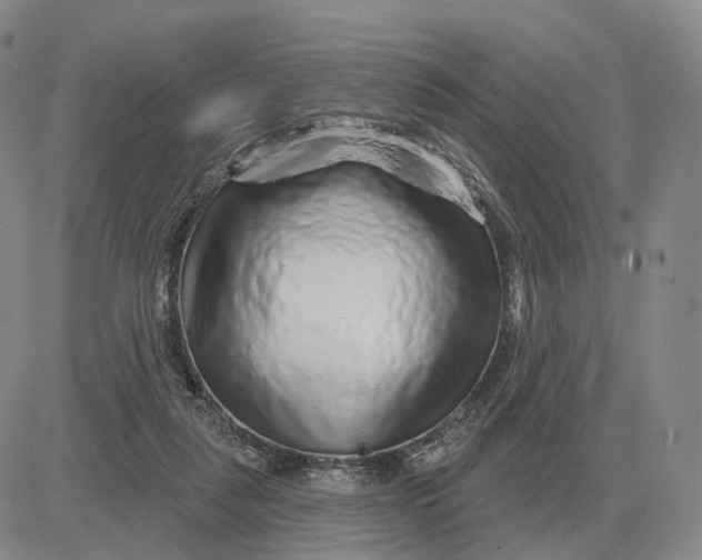 X0000083020259200702231845