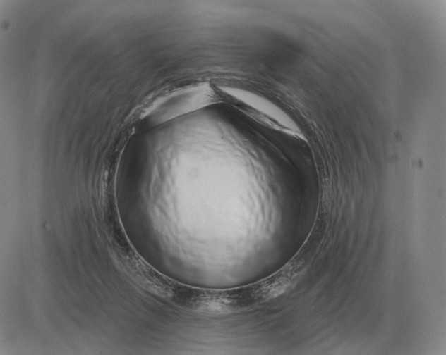 X0000083020263200702231845