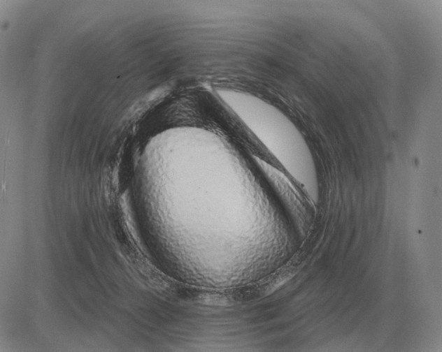 X0000083020272200702231845