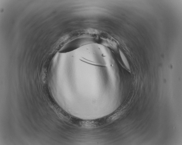 X0000083020273200702231845