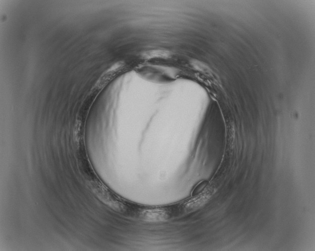 X0000083020275200702231845