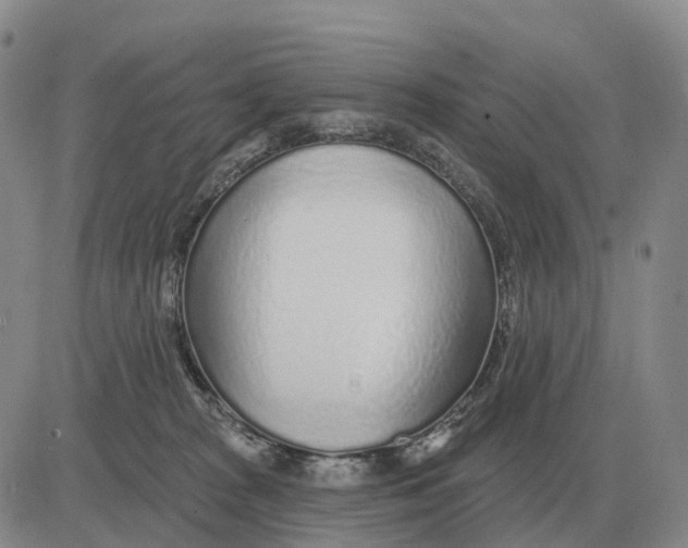 X0000083020277200702231846