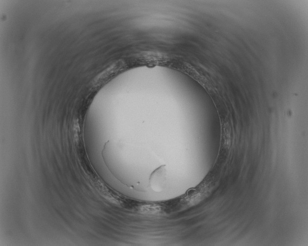 X0000083020279200702231846