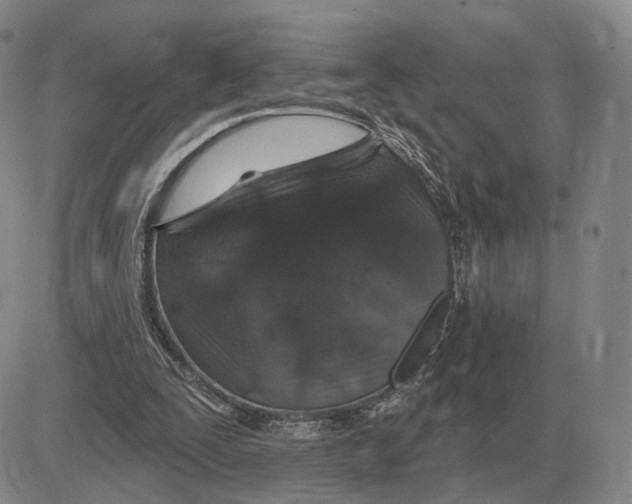 X0000083020295200702231845