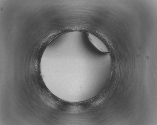 X0000083020308200702231845
