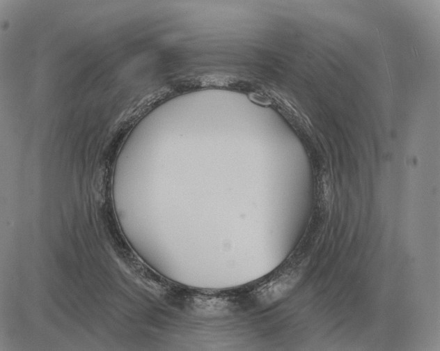 X0000083020311200702231845