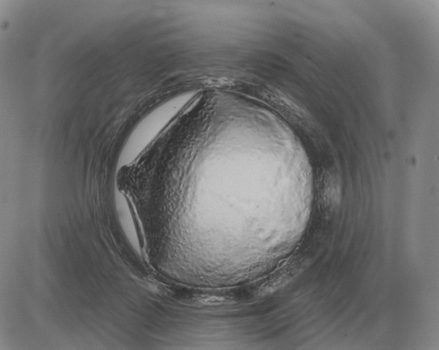 X0000083020315200702231844