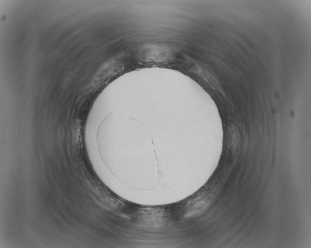 X0000083020328200702231844