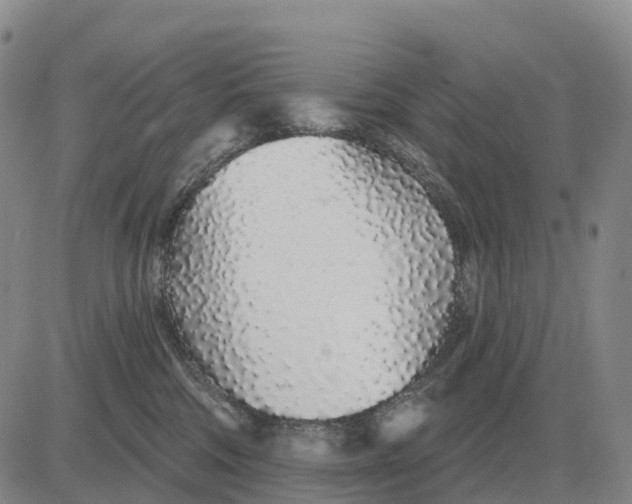 X0000083020330200702231844