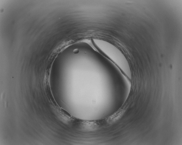 X0000083020333200702231844
