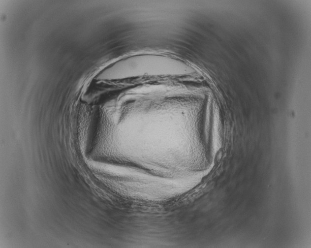 X0000083020337200702231843