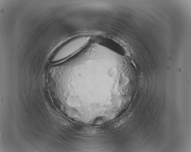 X0000083020351200702231844