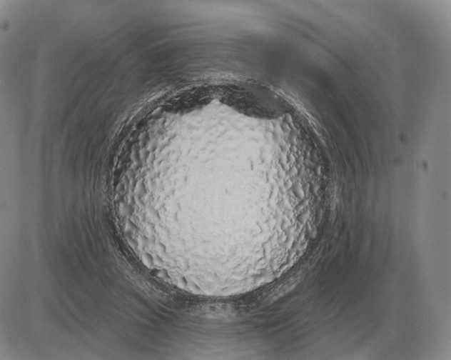 X0000083020353200702231844