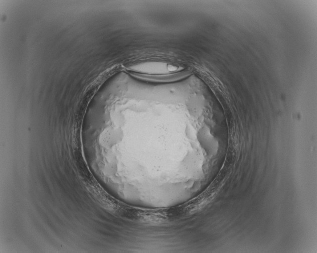 X0000083020359200702231844