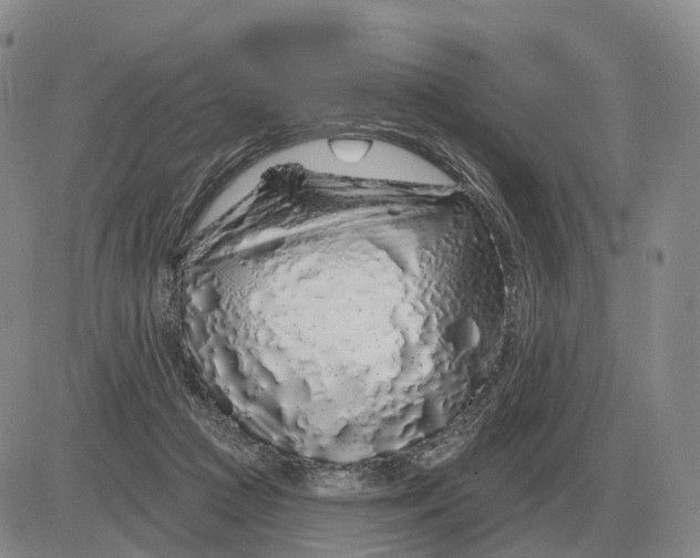 X0000083020361200702231844