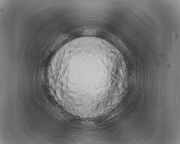 X0000083020363200702231844