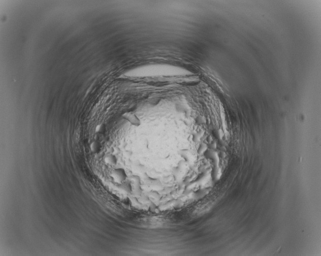 X0000083020365200702231844