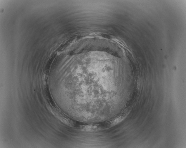 X0000083020366200702231844