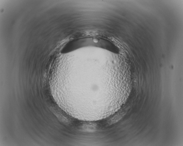 X0000083020369200702231844