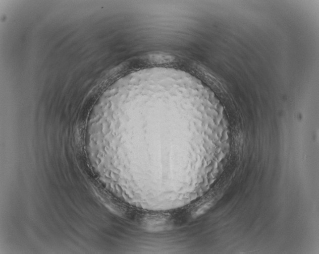 X0000083020373200702231844