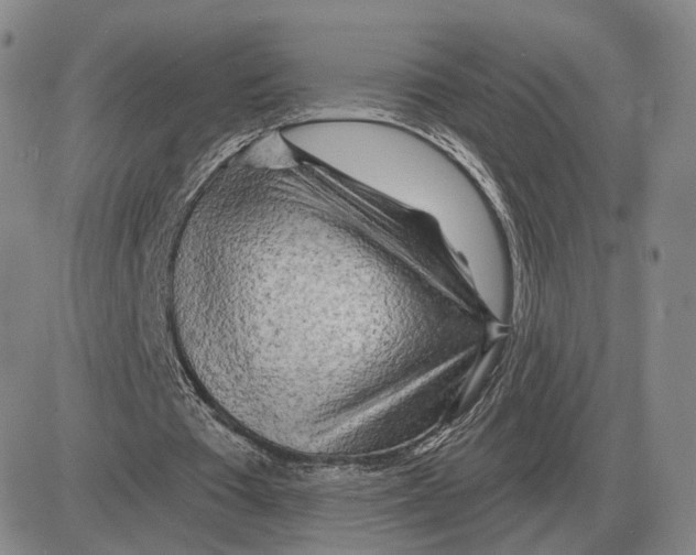 X0000083020385200702231843
