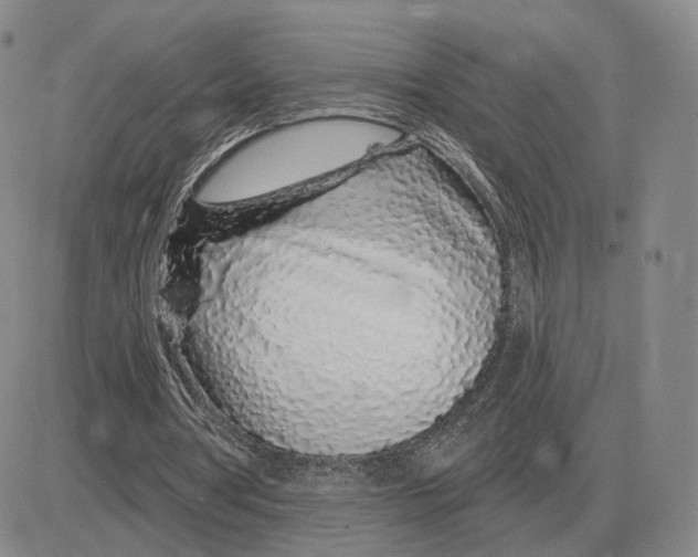 X0000083020386200702231843