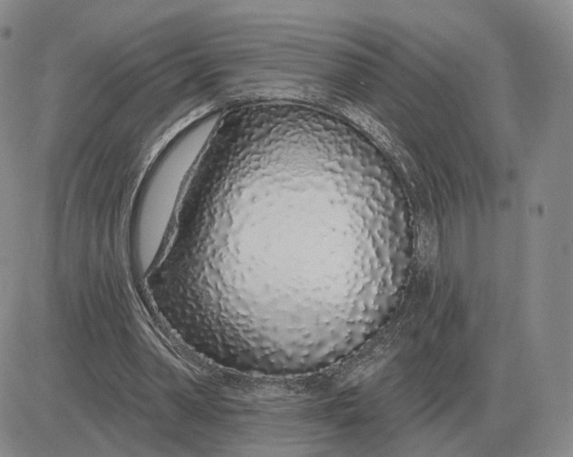 X0000083020390200702231843