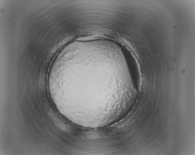 X0000083020394200702231843