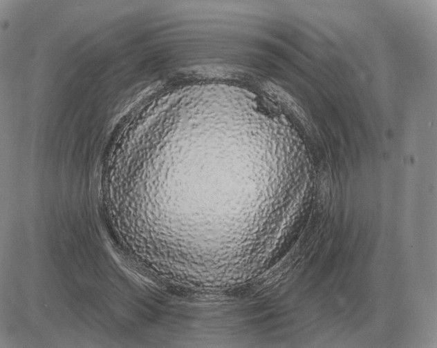 X0000083020398200702231843