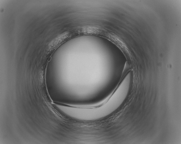 X0000083020401200702231843