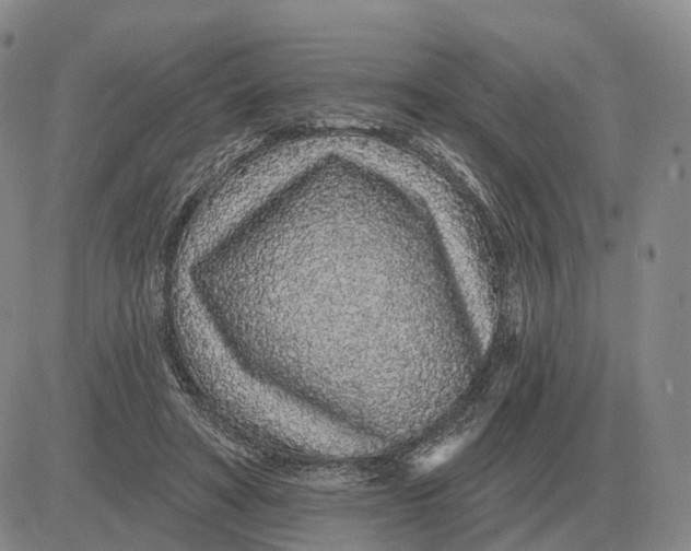 X0000083020402200702231843