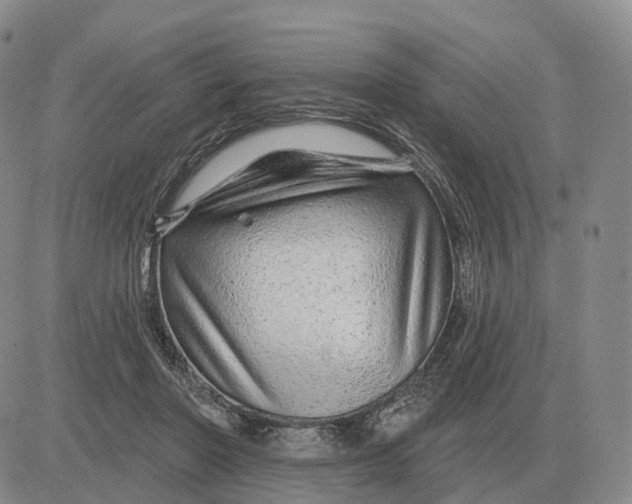 X0000083020406200702231843