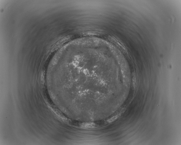 X0000083020410200702231843