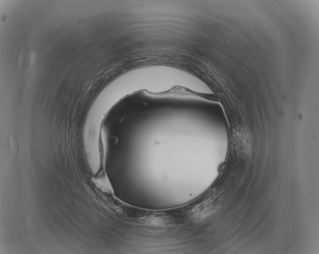 X0000083020412200702231843