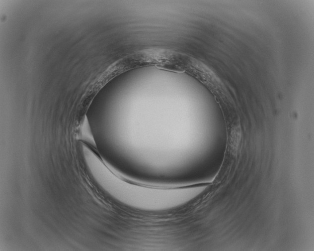 X0000083020413200702231843