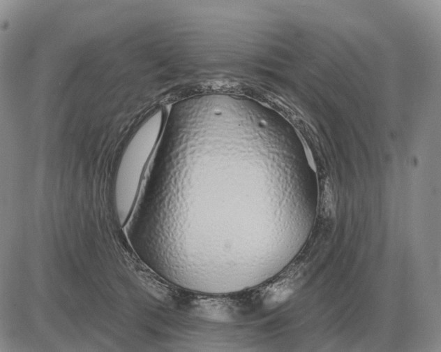 X0000083020417200702231843