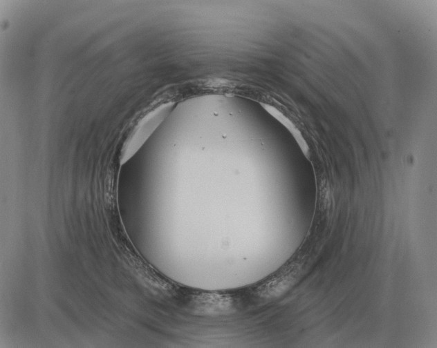 X0000083020421200702231843