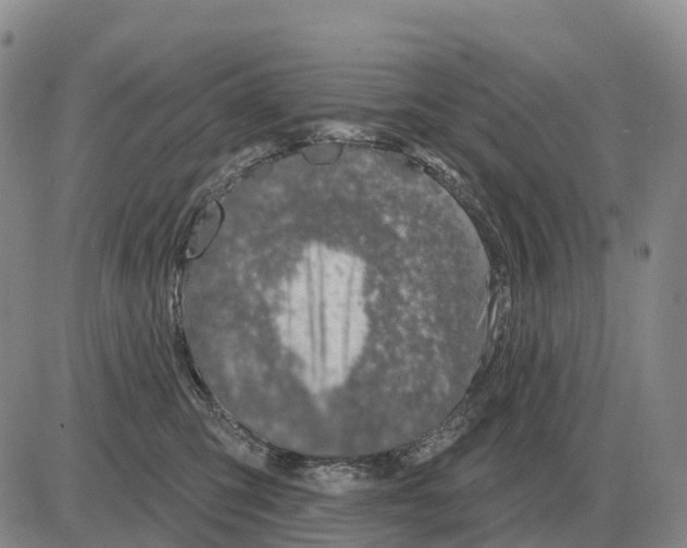 X0000083020423200702231843